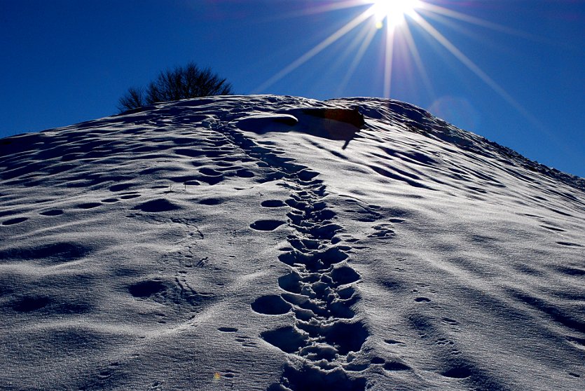 Monte Canidi_01