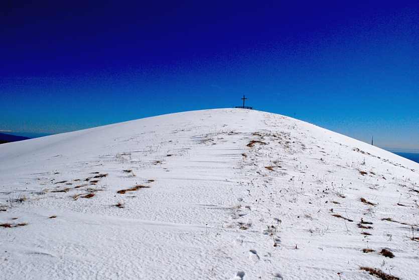 Monte Cesen